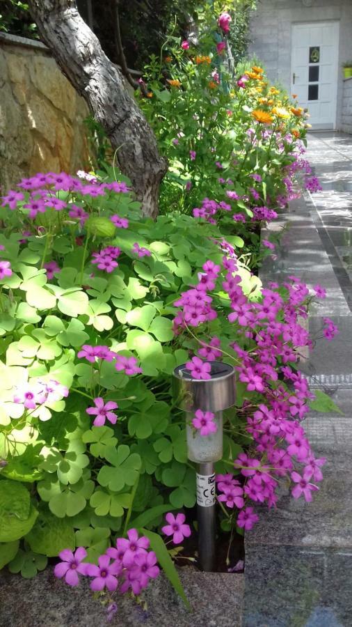 Apartment Bella Vista 포레치 외부 사진